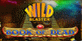 Wildblaster Casino 20 free spins no deposit Bonus
